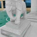 宜宾 白麻花岗岩动物异形石雕-大象