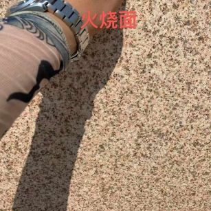 宜宾黄金麻火烧面