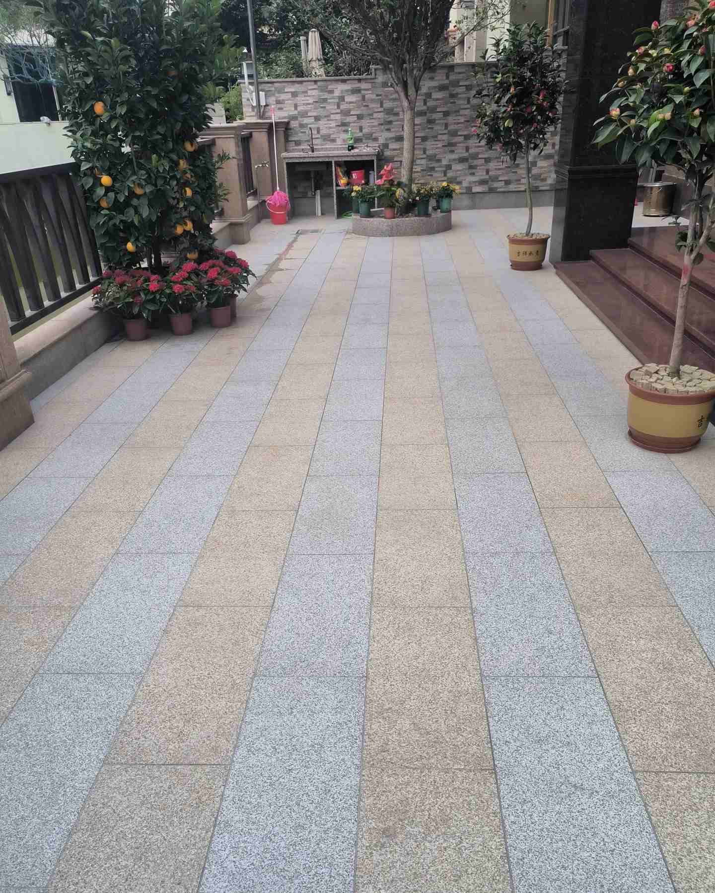 宜宾 黄金麻白麻荔枝面庭院铺装展示