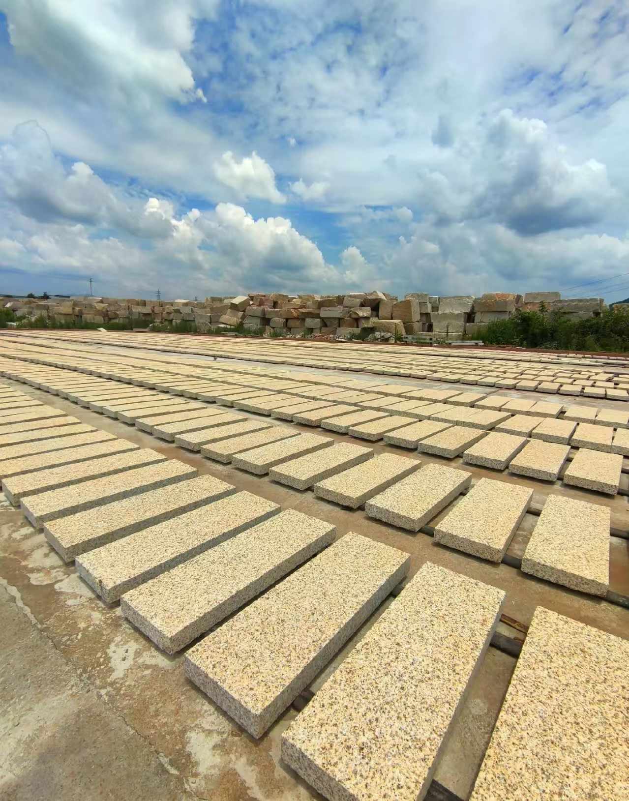 宜宾 黄金麻荔枝面花岗岩石材地铺石防护中